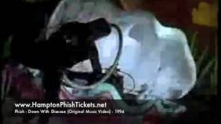 Phish - Down With Disease (Original take music video) - 1994