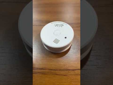 Standalone Smoke Detectors