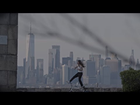 Shibby Pictures and Apes of the State