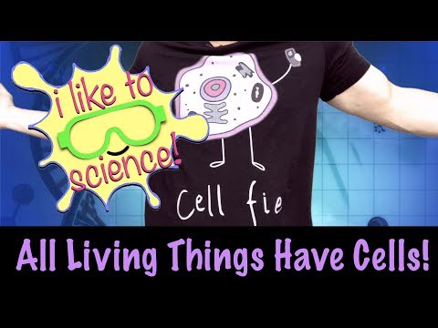 All Living Things Are Made of Cells!