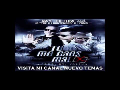 Javy 'The Flow' Ft Yomo y JQ 'The 1 Contender'   Tu Me Caes Mal