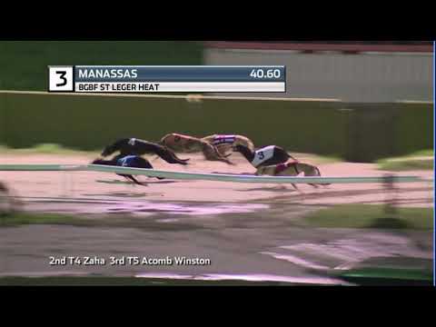 2020 BGBF ST LEGER - HEAT 1 - T3 MANASSAS