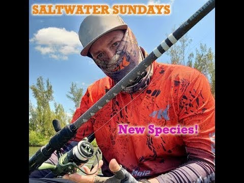 "Saltwater Sunday: New PB Hunt, New Species Caught, and Kayak Adventures!"
