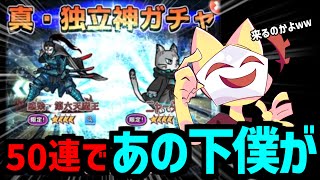 真・独立神ガチャ！！50連であの真下僕が！？【ボク殺3/よーき】