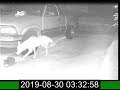 Moment my cat got eaten by a Coyote