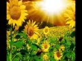 come un girasole - giorgia 