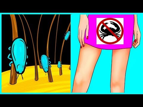 download lagu mp3 mp4 мандавошки, download lagu мандавошки gratis, unduh video klip мандавошки