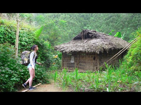 TIMELAPSE --460 Days The Journey To Renovate An Old House Into Beautiful Log Cabin /Phương's Story