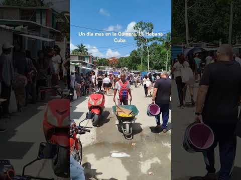 #shorts #cuba #cubanosporelmundo Un día más en la Güinera La habana Cuba
