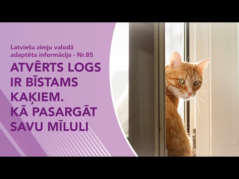 Video ziņas Nr. 85 “Atvērts logs ir bīstams kaķiem. Kā pasargāt savu mīluli”