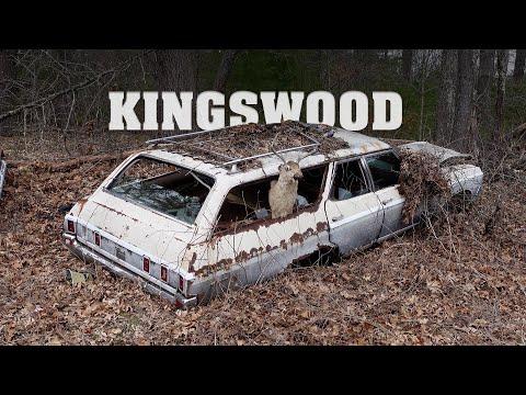 Thumbnail for Kingswood Brick by Station wagon