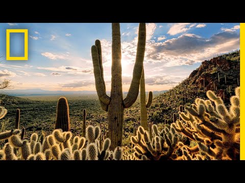 Deserts 101 | National Geographic