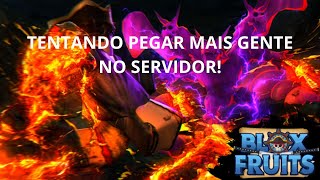 TENTANDO PEGAR MAIS GENTE NO SERVIDOR BLOX FRUIT!