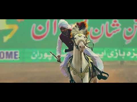 Tent Pegging Puran 2025