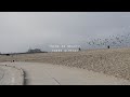 Sarathy Korwar - There Is Beauty, There Already (Full Album - Film)