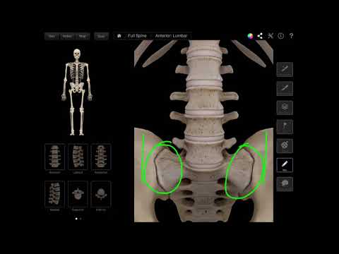SI Joint Dysfunction and Pain ANIMATION