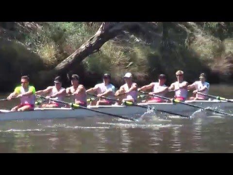 Male Open - Mercantile