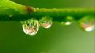 Sometimes when it rains