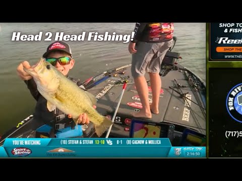 Head 2 Head Fishing! Fox Lake Slugfest!