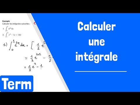 Comment calculer une intégrale ?