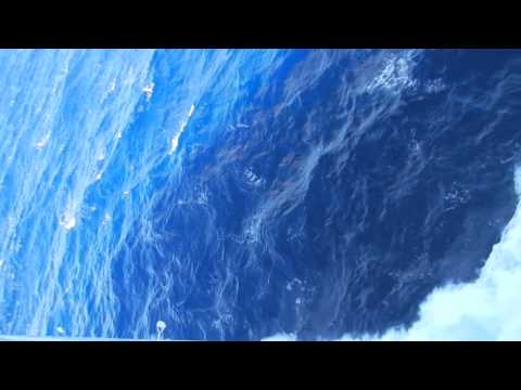 Thumbnail for Cruising on P&O 'Pacific Jewel' off Willis Island, Queensland, Australia