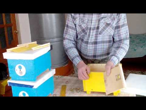 МОИ НУКЛЕУСЫ И ИХ РАЗМЕРЫ.🔥🔥🔥