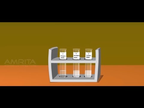 Tests for the Functional Group Present in the Organic Compounds - MeitY OLabs