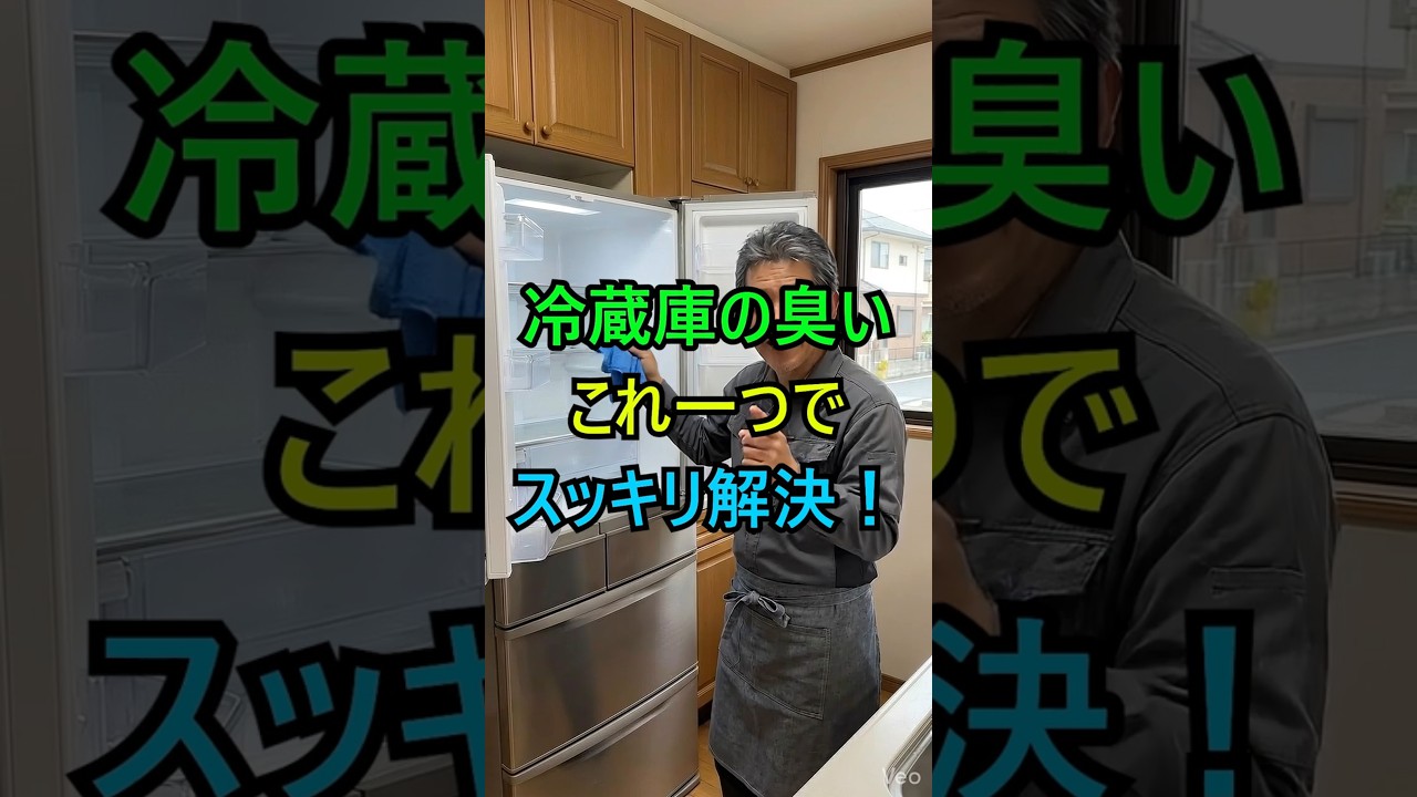 冷蔵庫が臭うときこれを入れてみて！