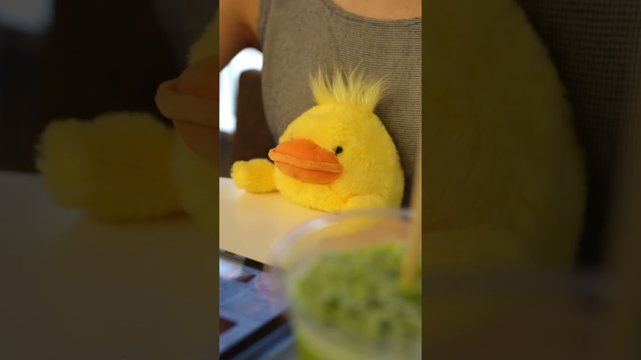 Funbaruz Posture Pals