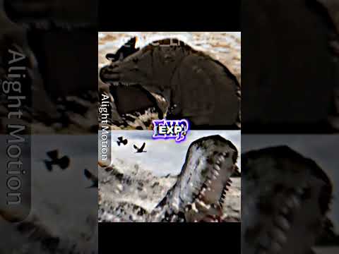 Astorgosuchus vs Purussaurus (NHMUK R.5266 vs UFAC 1403) #edit #paleontology #shorts