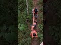 Floresta Dos Canibais
