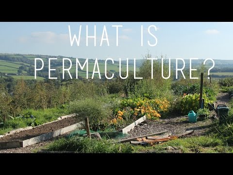 download lagu mp3 mp4 Permaculture Vegan, download lagu Permaculture Vegan gratis, unduh video klip Download Permaculture Vegan Mp3 dan Mp4 Free All Gratis