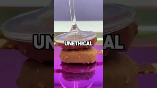 Unethical Life Hacks ❤️‍🔥✨ #facts #halo #unethical #lifehacks