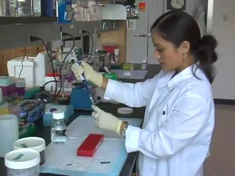 download lagu mp3 mp4 Samuel Stupp, download lagu Samuel Stupp gratis, unduh video klip Samuel Stupp