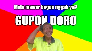 Download lagu dove eyes, rose/water/silver eyes mp3