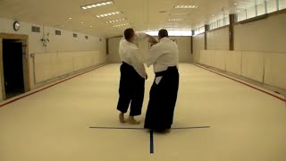 9.  Jodan Gyaku Gamae No Ura Waza