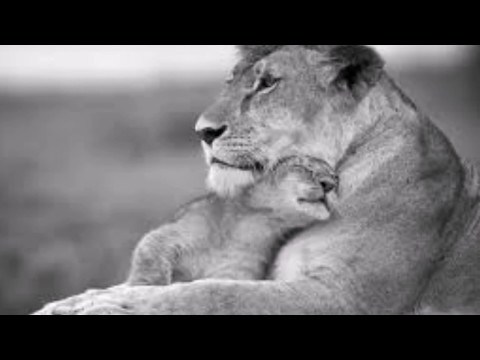 Mẹ Việt Sheet - Vivian Ngo