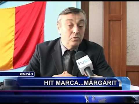HIT..... MARCA MARGARIT