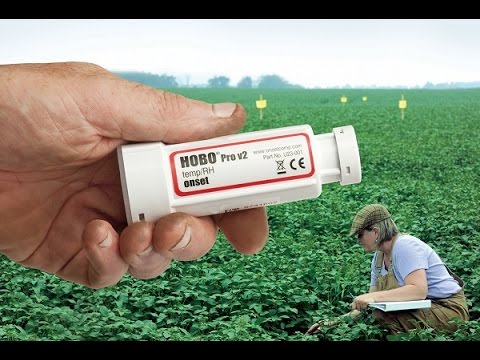 Damned | Half-Life 2 - Hobo Adventure Walkthrough