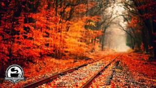 Mimicking Birds - Burning Stars