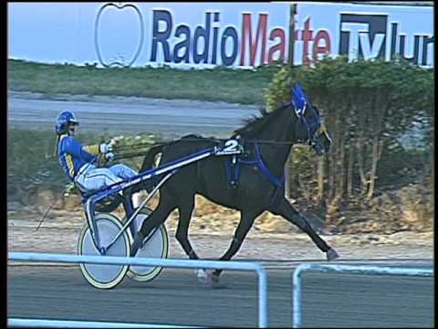 Trotto 16/12/2016 - 3ª corsa