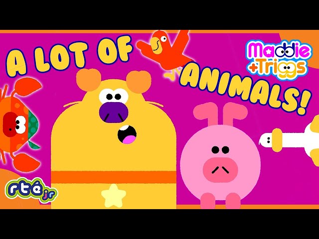 🐒🐷🦅🐶 Fun Animal Takeover 🐶🦅🐷🐒 | Maddie + Triggs 👧🐶 | 🎵 Animal-tastic Tunes 🎵 | @RTÉjrOfficial