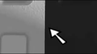187876022192502084