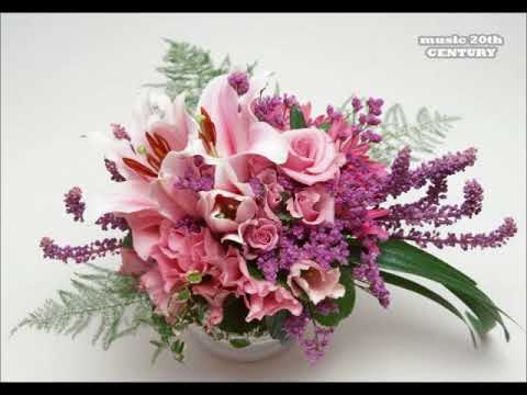 Drink About Audio Seeb ft  Dagny