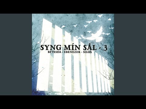 Mín Hirði Góður Harrin Er