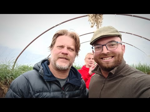 Walipini építés - első hónap eredményei (2022. április)