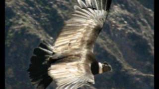 Il Cielo è Blu sopra le nuvole