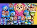 HUGE PAW PATROL SURPRISE TOYS UNBOXING MYSTERY BOXES Blind Bags Satisfying ASMR Collection