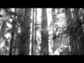 IAMX ~ This Will Make You Love Again
