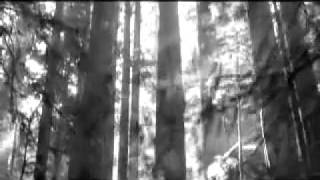 IAMX ~ This Will Make You Love Again